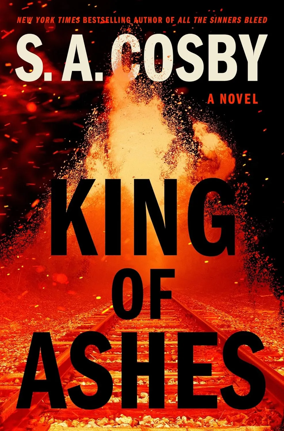 King of Ashes: A Novel Hardcover  June 10, 2025