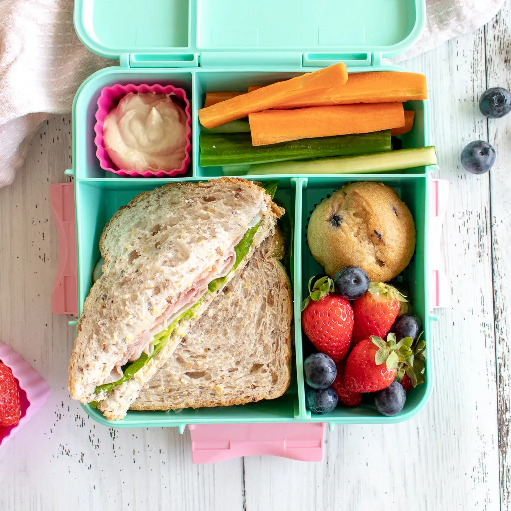 Montii.Co Bento Plus - Blush Pink
