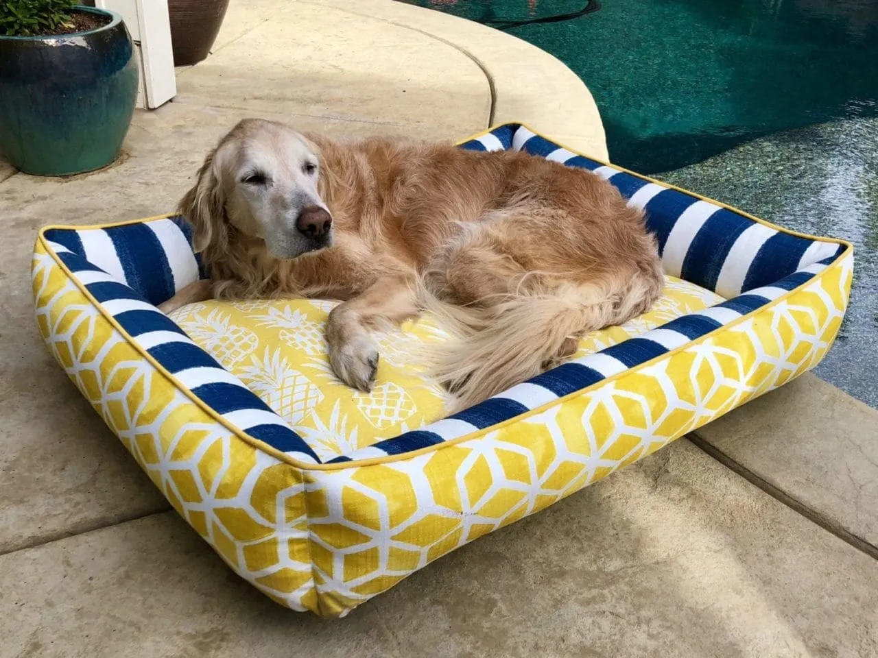 Pineapple Poolside Snuggler Dog Bed