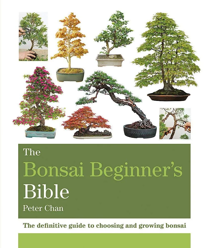 The Bonsai Beginner's Bible Paperback  Illustrated, January 2, 2018